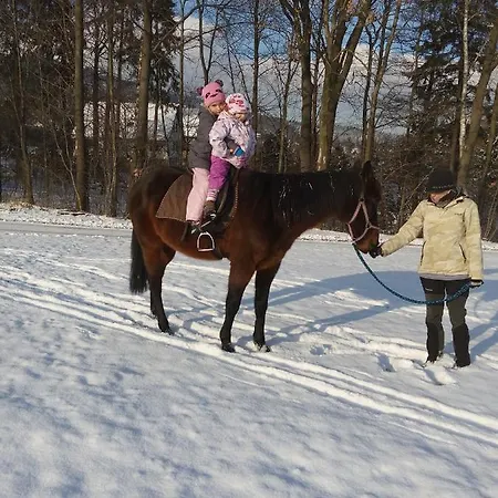 Domek alpejski U Ponocneho Pod Ondrejnikem *